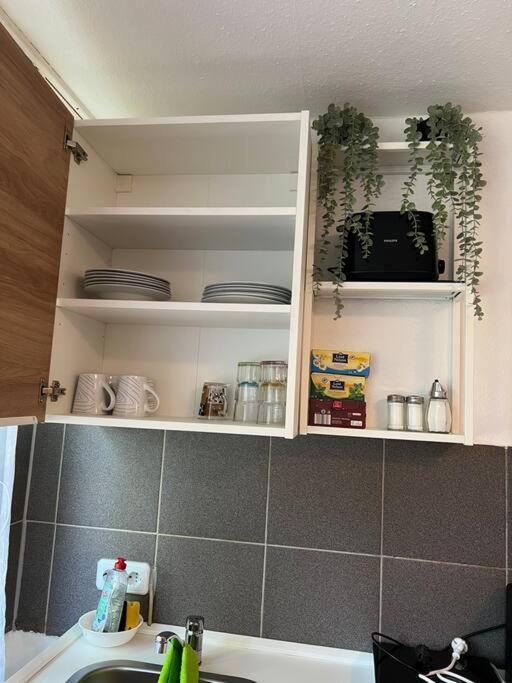 Apartment Am Stuttgarter Flughafen / Messe Leinfelden-Echterdingen Dış mekan fotoğraf